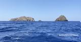 Κεμάλ Κιριστζί, Αιγαίο, Ελλάδας – Τουρκίας,kemal kiristzi, aigaio, elladas – tourkias