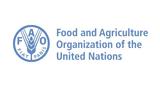 FAO, Θετικές, 2025,FAO, thetikes, 2025