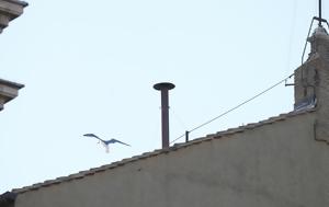 Κονκλάβιο, Πάπα – Live, Βατικανό, konklavio, papa – Live, vatikano