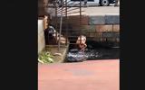 Θεσσαλονίκη, Νεαρή, Θερμαϊκό, VIDEO,thessaloniki, neari, thermaiko, VIDEO
