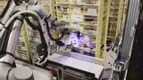 Ρομπότ, Amazon,robot, Amazon