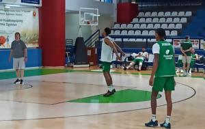 BCL, Gazzetta, Μάλαγα, Ζωφριά, BCL, Gazzetta, malaga, zofria