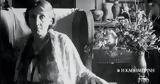 Λουλούδια,louloudia