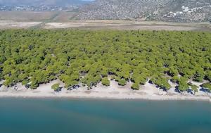 Αυτή, Αττικής, afti, attikis