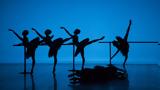 Paris Opera Junior Ballet,