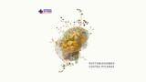 Ερρίκος Ντυνάν, 19 Μαΐου, Phytobiosomes, Costas Picadas,errikos ntynan, 19 maΐou, Phytobiosomes, Costas Picadas