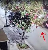 Άνω Λιόσια, Βίντεο,ano liosia, vinteo
