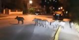 Αγριογούρουνα, Γεννηματά, Παραμυθιά…VIDEO,agriogourouna, gennimata, paramythia…VIDEO