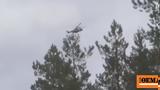 Συντριβή, Φινλανδία - Αναφορές, 2 Εσθονοί,syntrivi, finlandia - anafores, 2 esthonoi