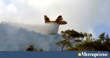 Φωτιά, Ριτσώνα, Πυροσβεστικής,fotia, ritsona, pyrosvestikis