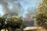 Φωτιές, Μαρκόπουλο, Ριτσώνα, Οφείλονται, – Δύο, [Βίντεο],foties, markopoulo, ritsona, ofeilontai, – dyo, [vinteo]