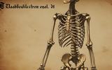 Σκελετός, Μεσαίωνα, ΑμεΑ,skeletos, mesaiona, amea