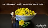 Τα βότανα και μεις οι άνθρωποι – μια μακροχρόνια σχέση αγάπης,