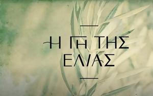 Ελιάς, Παυλίνα, Βασιλική, Στέφανο, elias, pavlina, vasiliki, stefano