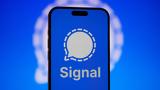 Signal, Recall,Microsoft, Windows 11