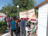 ΝΕΑ ΜΑΝΩΛΑΔΑ ΗΛΕΙΑΣ, Συνεχής,nea manolada ileias, synechis