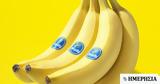 Chiquita, Απολύει 5 000, Παναμά,Chiquita, apolyei 5 000, panama