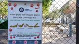 Δήμος Αθηναίων, Φροντίζει,dimos athinaion, frontizei