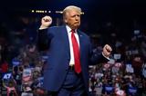 Donald Trump, Χάρβαρντ,Donald Trump, charvarnt