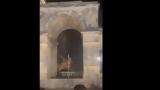 Κέρκυρα, Μήνυση, Δήμου, Μουσείου Ασιατικής Τέχνης, Ανάκτορα,kerkyra, minysi, dimou, mouseiou asiatikis technis, anaktora