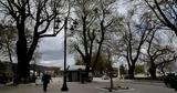 Αντίθετος, Φοιτητικός Σύλλογος Ιατρικής Ιωαννίνων, Διοίκηση,antithetos, foititikos syllogos iatrikis ioanninon, dioikisi