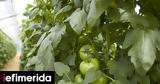 Ξεκινά, -Τσιάρας,xekina, -tsiaras