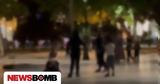 Άγριο, Θεσσαλονίκης – Έφυγαν,agrio, thessalonikis – efygan