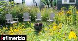 Meadowscaping,