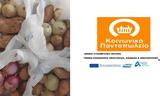 Δράσεις, Κοινωνικό Παντοπωλείο Δήμου Λυκόβρυσης – Πεύκης,draseis, koinoniko pantopoleio dimou lykovrysis – pefkis