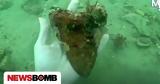 ΗΠΑ, Δύτης, Μεγαλόδοντα,ipa, dytis, megalodonta
