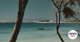 Radisson Hotel Group, Πάρο, Punda Resort Paros, Radisson Individuals,Radisson Hotel Group, paro, Punda Resort Paros, Radisson Individuals