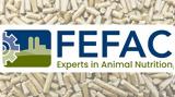FEFAC, Μικρή, Ε Ε,FEFAC, mikri, e e