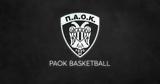 ΠΑΟΚ, LIVE TV, Συνέντευξη Τύπου, ΚΑΕ,paok, LIVE TV, synentefxi typou, kae