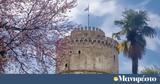 Δημοσκόπηση Opinion Poll, 301, Θεσσαλονίκη - Δεύτερος Βελόπουλος,dimoskopisi Opinion Poll, 301, thessaloniki - defteros velopoulos