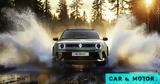 Renault 4 Savane,Roland-Garros