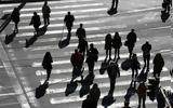 Έρευνα, Έλληνες, – Μόνο,erevna, ellines, – mono