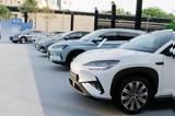Όμιλος Σφακιανάκη, Φέρνει, BYD, Alpan Group,omilos sfakianaki, fernei, BYD, Alpan Group