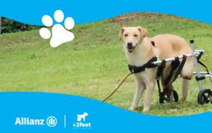 Allianz, Plus2Feet, Walking Together
