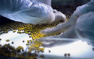 Συνεργασία GRIN Therapeutics, Angelini Pharma, synergasia GRIN Therapeutics, Angelini Pharma