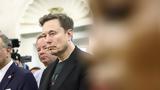 Έλον Μασκ, Τραμπ,elon mask, trab