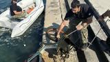 Ανεξάντλητη, Θερμαϊκός Κόλπος - Δύτες,anexantliti, thermaikos kolpos - dytes