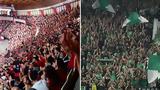Μπάσκετ, ΣΕΦ, Τέμπη,basket, sef, tebi