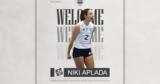 ΠΑΟΚ, Ενίσχυση, Απλαδά,paok, enischysi, aplada