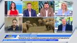 ΟΠΕΚΕΠΕ, Αγρότες, Κρήτη,opekepe, agrotes, kriti
