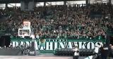 ΚΑΕ Παναθηναϊκός, Αίτημά,kae panathinaikos, aitima