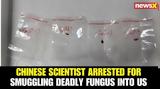 FBI, Κινέζους, ΗΠΑ, Fusarium,FBI, kinezous, ipa, Fusarium
