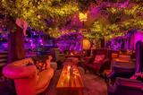 Alchemy Bar,Guaba