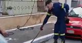 Σπάρτη, Φίδι,sparti, fidi