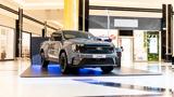 Ford Ranger MS-RT,Golden Hall