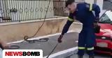 Σπάρτη, Φίδι,sparti, fidi